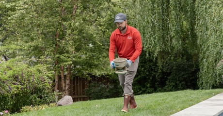 Ryan Lawn & Tree Sweepstakes