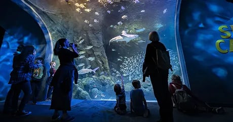 St. Louis Union Station Aquarium