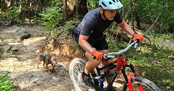 2025-8-28 Saw This - MTBer and dog
