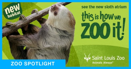 Saint Louis Zoo - Zoo Spotlight
