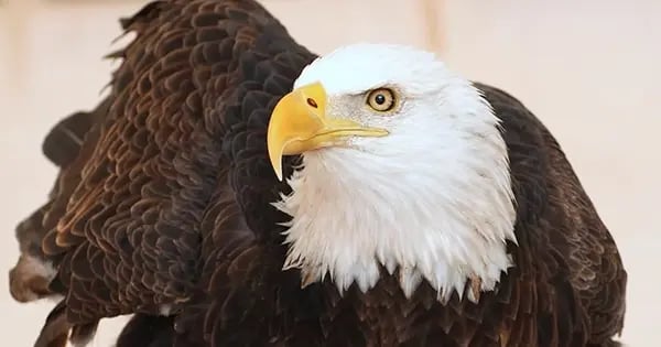 Photography courtesy of Missouri Department of Conservation