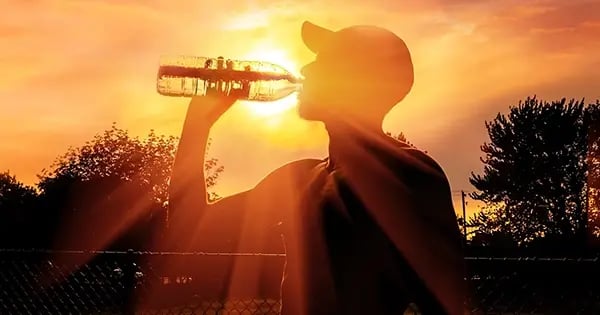 When the heat in St. Louis peaks in the summer, follow these recommendations to stay safe.