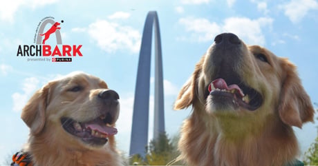 Gateway Arch Park Foundation