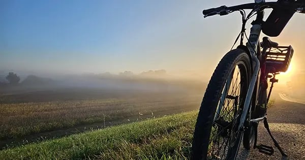 Saw This - Evie Hemphill