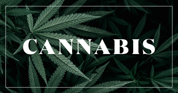 Cannabis Newsletter