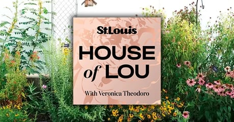 house of lou ep 3