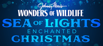 Wonders of Wildlife Sea of Lights Enhanced Christmas