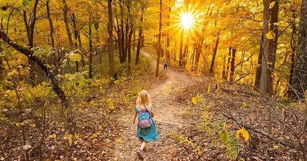 slm_355601__SaltLickPoint1