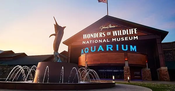 wow exterior morning